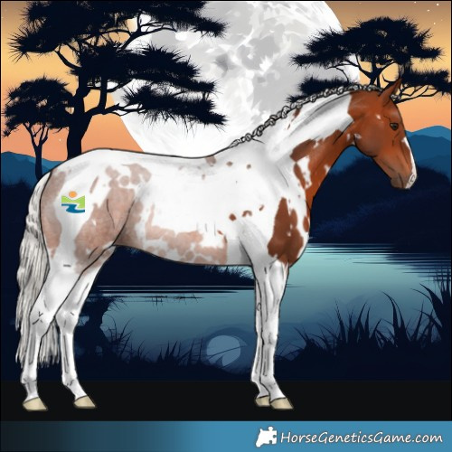 Horse Color:White Spotted Silver Brown Tobiano 