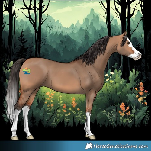Horse Color:Bay Dun Splash 