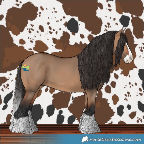 Horse Color:Bay Dun Splash