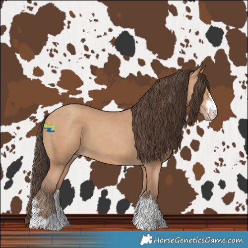 Horse Color:Amber Champagne
