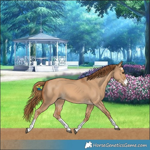 Horse Color:Red Dun 