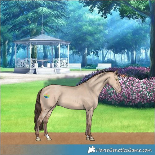 Horse Color:Amber Champagne Dun