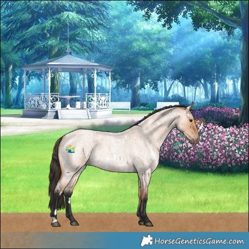 Horse Color:White Spotted Bay Roan Dun