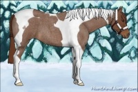 Horse Color:Red Roan Tobiano 