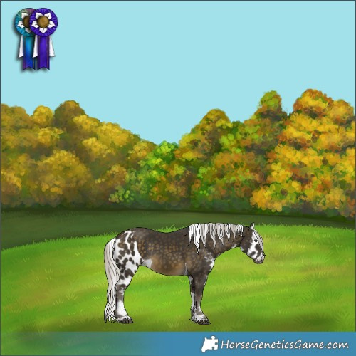 Horse Color:Silver Buckskin Tobiano Skewed LP Spotted Rabicano