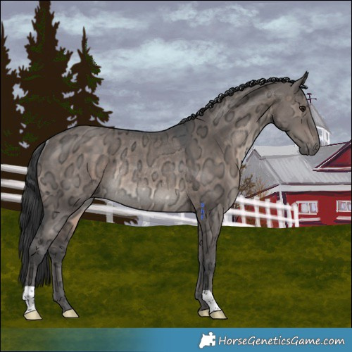 Horse Color:Brown Ice Dun Mushroom Rabicano 