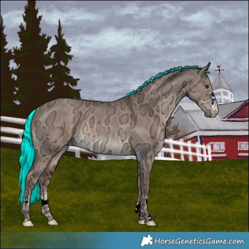 Horse Color:Liver Red Dun Ice Mushroom Rabicano 