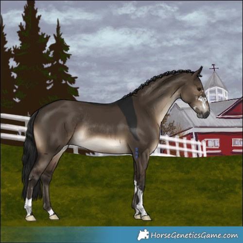 Horse Color:Gray Brown Dun Mushroom Sabino Rabicano 