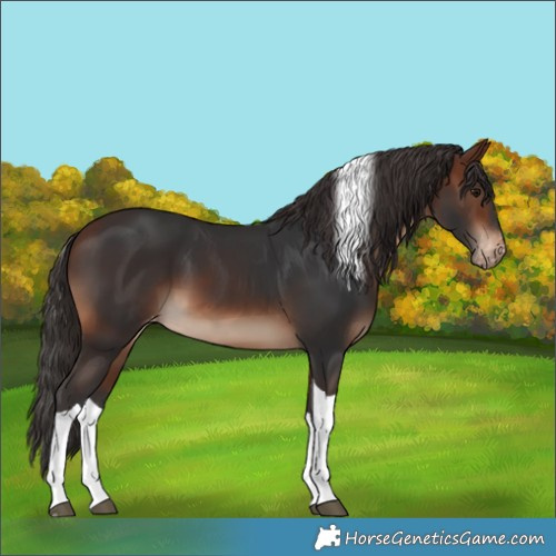 Horse Color:Brown Tobiano Skewed LP Spotted 