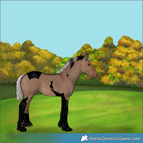 Horse Color:Void Silver Brown Dun Tobiano