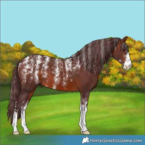 Horse Color:Powder White Chocolate Brown