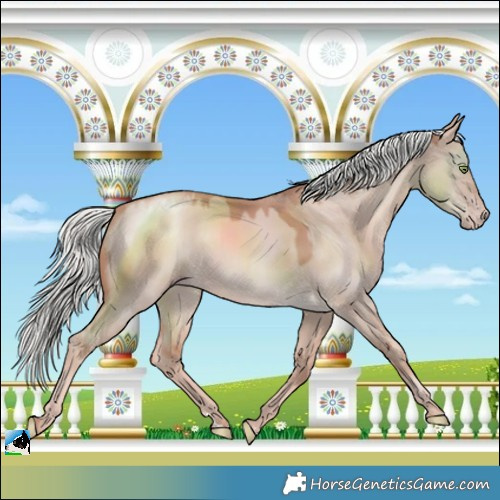 Horse Color:Gold Champagne Dun Mushroom