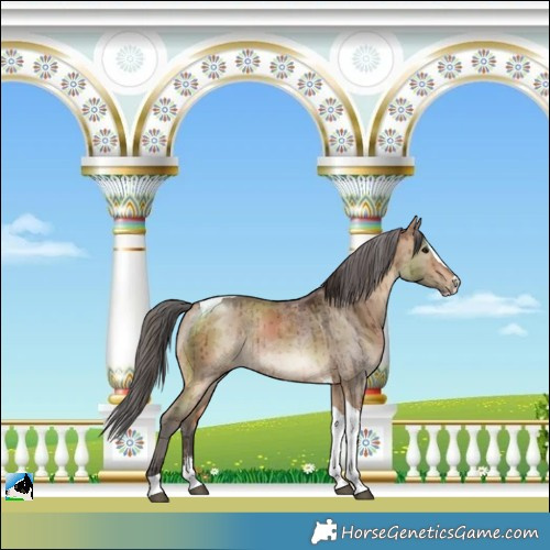 Horse Color:Bay Dun Merle Sabino Splash Tobiano Rabicano Brindle