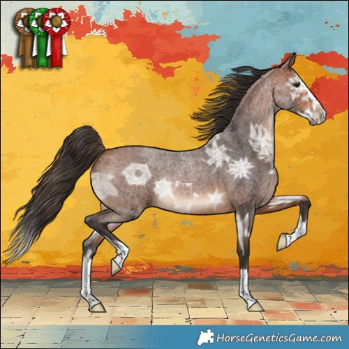 Horse Color:Bay Ice Roan Splash 