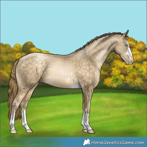 Horse Color:Buckskin Pearl