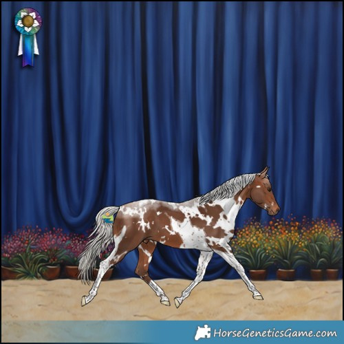 Horse Color:White Spotted Silver Bay Tobiano