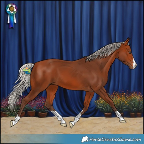 Horse Color:Silver Bay