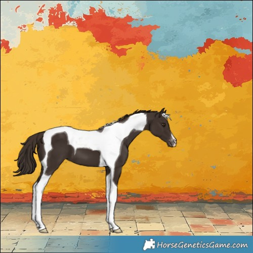 Horse Color:Liver Chestnut Tobiano Varnish 