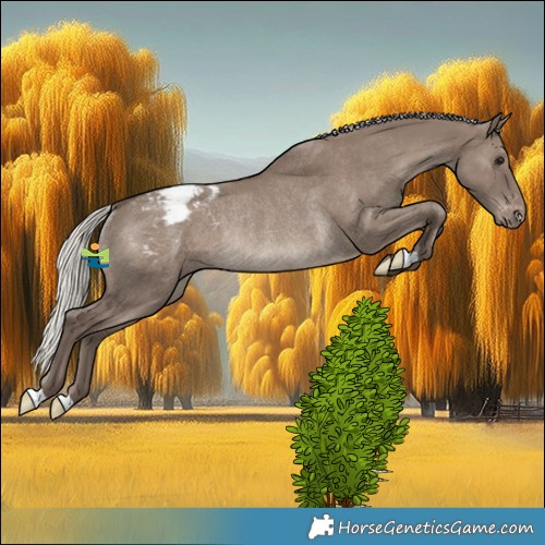 Horse Color:Silver Grullo Snowcap Rabicano 