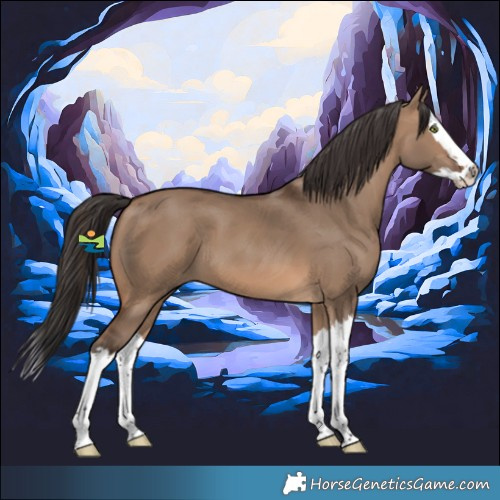 Horse Color:Brown Dun Splash 