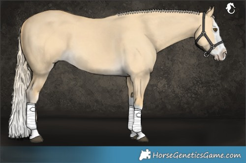Horse Color:Palomino Dun Splash