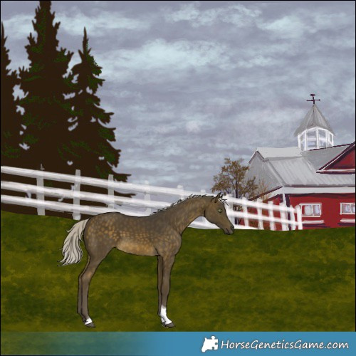 Horse Color:Silver Buckskin Tobiano 