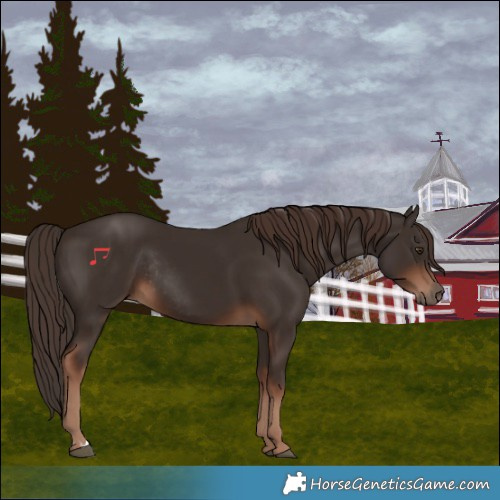 Horse Color:Liver Chestnut and Liver Chestnut Rabicano