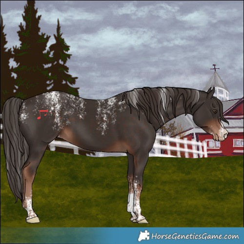 Horse Color:Powder White Liver Chestnut Varnish