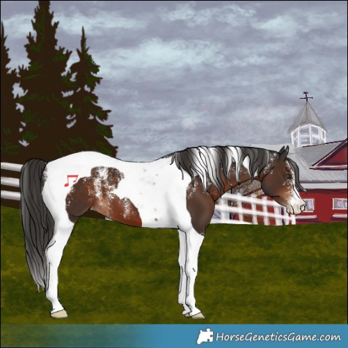 Horse Color:Powder White Liver Chestnut Tobiano Varnish