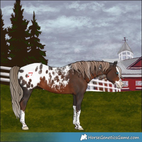 Horse Color:Powder White Liver Chestnut Splash Blanket 
