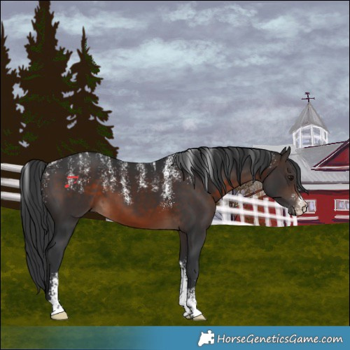 Horse Color:Powder White Brown