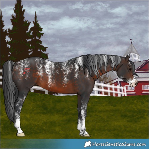 Horse Color:Powder White Brown