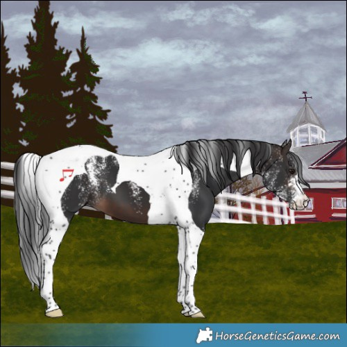 Horse Color:Powder White Brown Mushroom Tobiano
