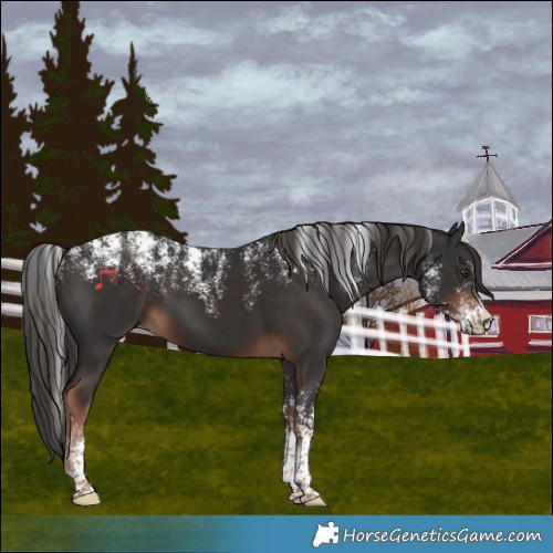 Horse Color:Powder White Liver Chestnut 