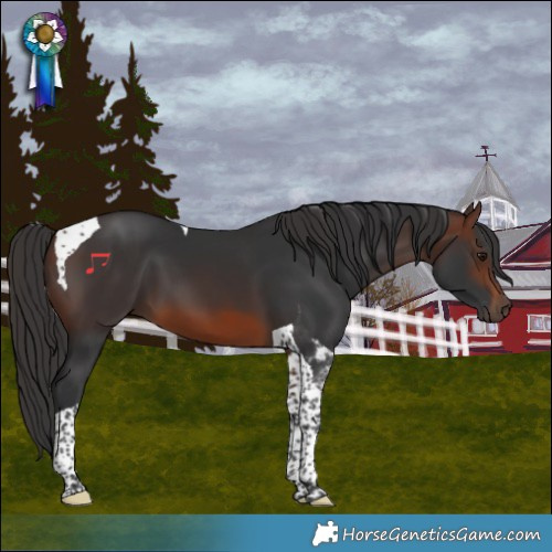 Horse Color:Brown Tobiano 