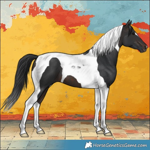 Horse Color:Brown Tobiano 