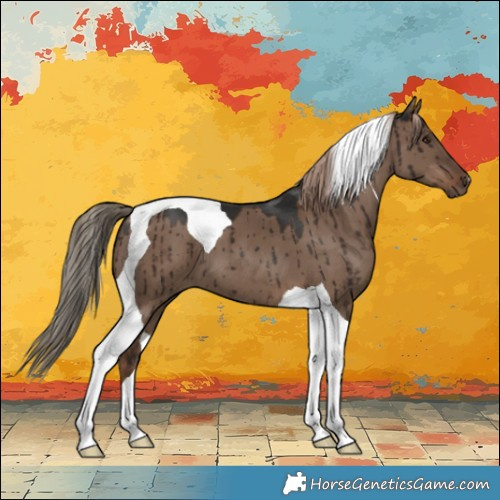 Horse Color:Liver Red Dun Tobiano Brindle 