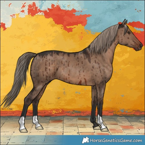 Horse Color:Liver Red Dun Brindle