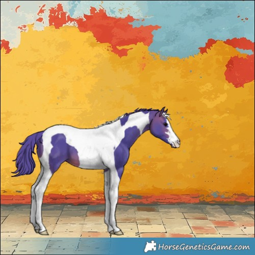 Horse Color:Watercolor Brown Tobiano