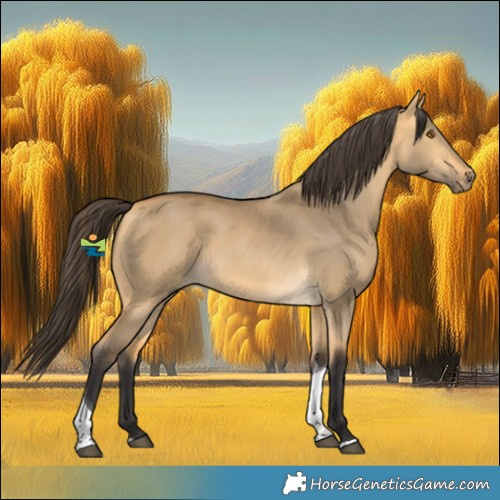 Horse Color:Buckskin Dun Tobiano