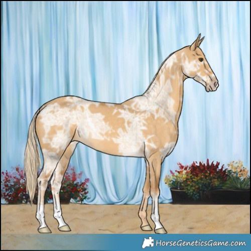 Horse Color:Palomino Ice Dun 