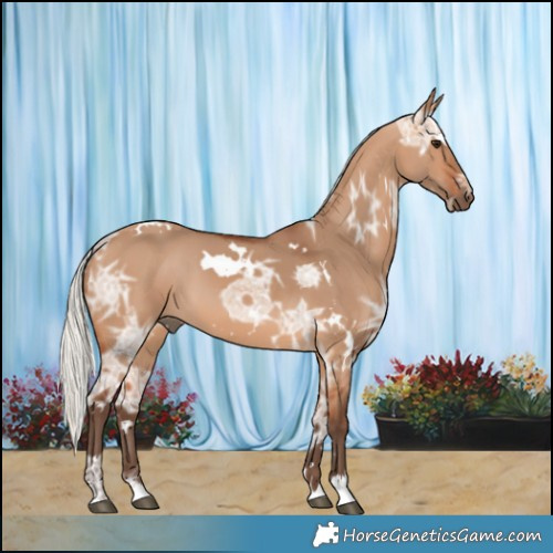 Horse Color:White Spotted Silver Bay Ice Dun 