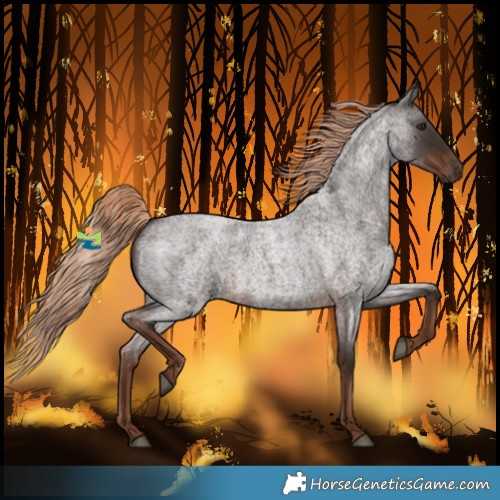 Horse Color:Liver Red Roan