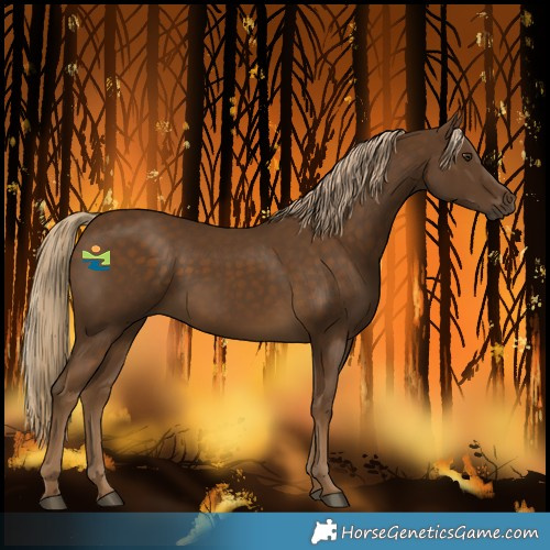 Horse Color:Chocolate Palomino