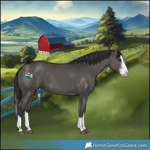Horse Color:Black Sabino Splash