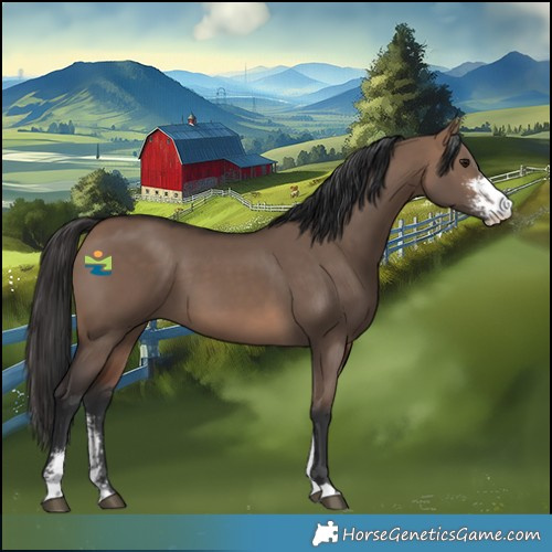 Horse Color:Brown Dun Sabino