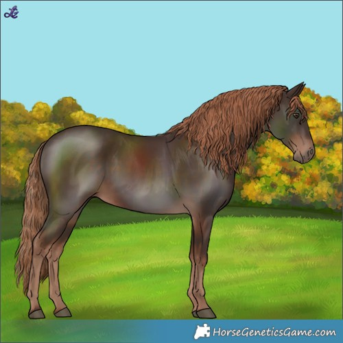 Horse Color:Liver Chestnut 
