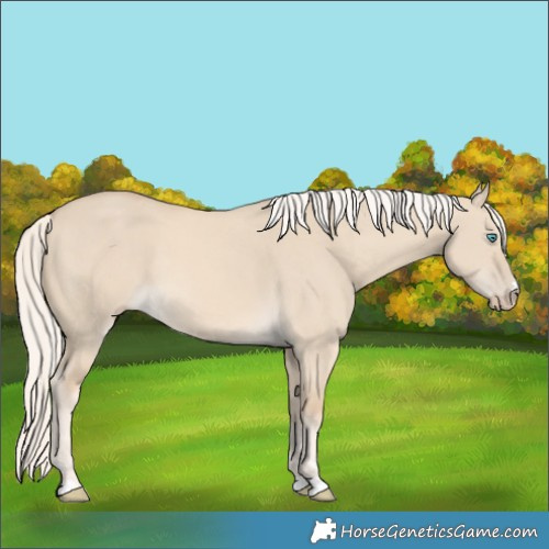 Horse Color:Cremello Dun 