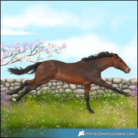 Horse Color:Bay Varnish 