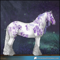 Horse Color:Gray Watercolor Liver Chestnut  and Gray Platinum Watercolor Pseudo Buckskin Onyx Merle Tobiano Rabicano 